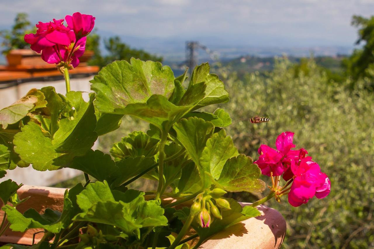 Poggio Della Roverella Country House Morlupo Eksteriør billede